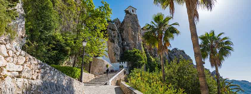 Plants in Spain