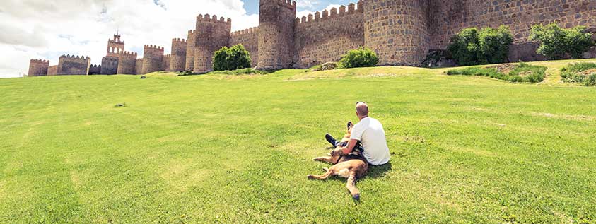 Haustiere in Spanien