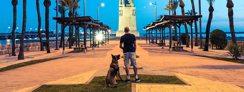 Hund auf Mallorca