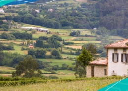 Buying land in Spain is easier with SublimeSpain's tips